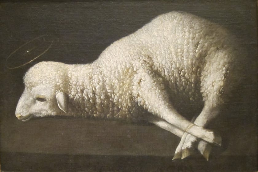 Agnus Dei (The Lamb of God) by Francisco de Zurbarán